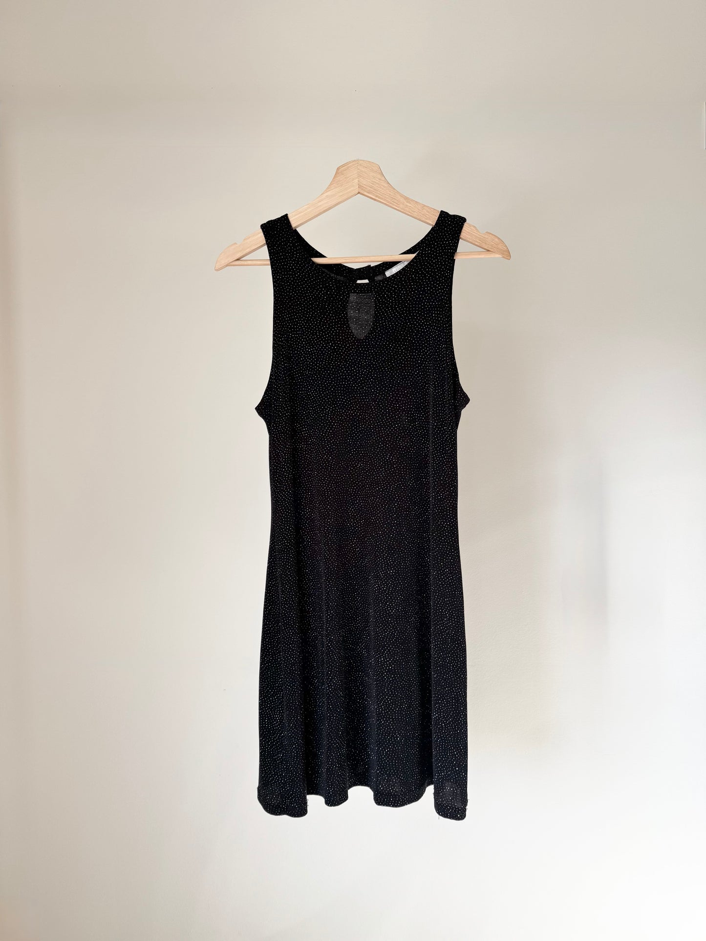 Shimmery Dress