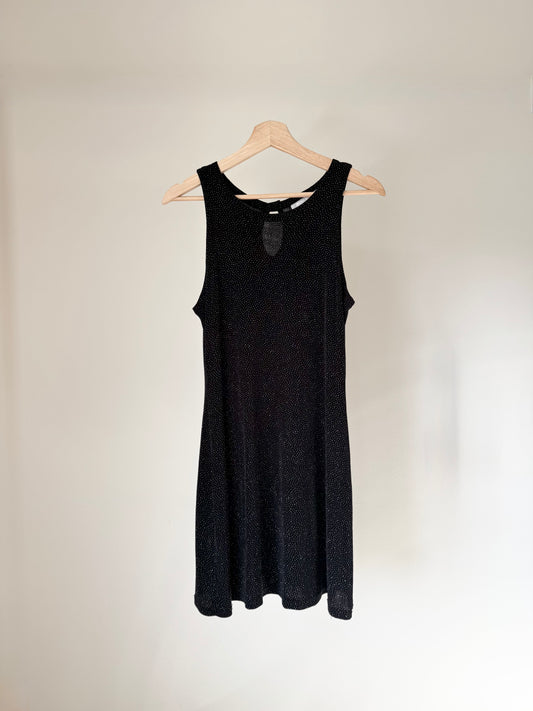 Shimmery Dress