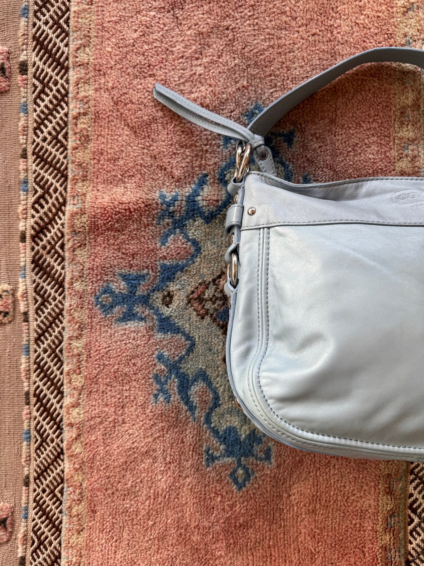 Coach Baby Blue Hobo
