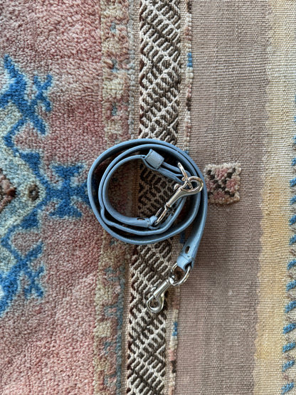 Coach Baby Blue Hobo