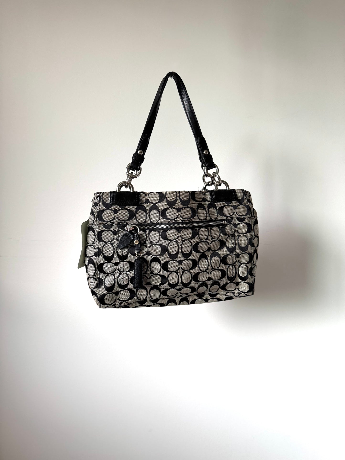 Coach Penelope Carryall